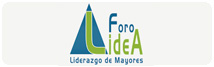 Logo Lidea