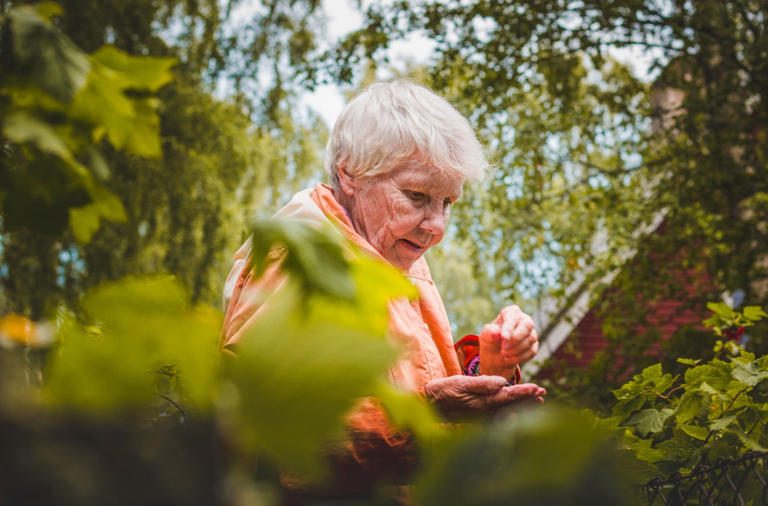 <p>JARDINES TERAPÉUTICOS PARA EL BIENESTAR DE LAS PERSONAS</p>