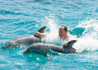 Delfines. Animales con poder curativo